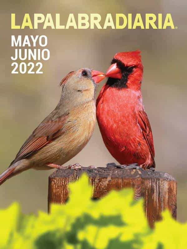 Cover LPD May June 2022