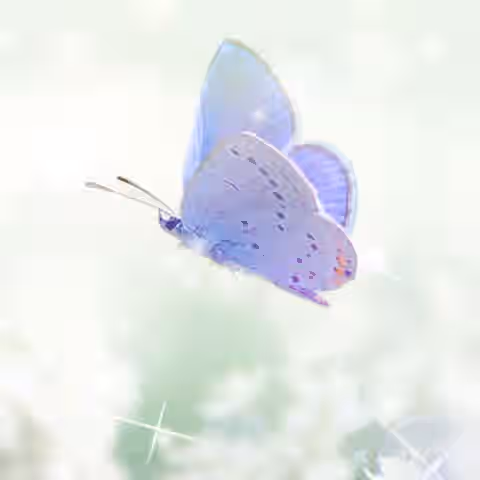 A soft, ethereal image of a delicate blue butterfly with open wings floating in gentle light