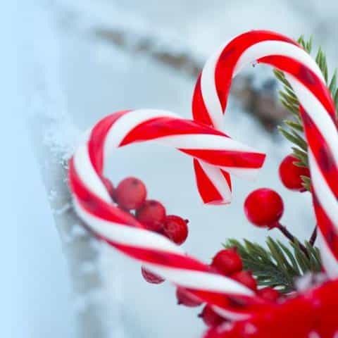 With Love and Christmas - Advent 2025 - A festive Christmas image featuring red and white candy canes, red berries, and green pine branches against a snowy background