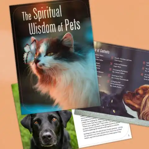 The Spiritual Wisdom of Pets booklet cover and inner pages
